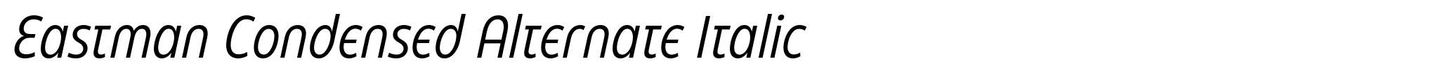 Eastman Condensed Alternate Italic image